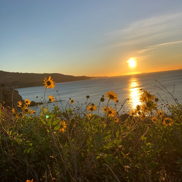 About the Seller - Picture 4 of 4